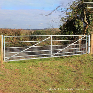 China supplier New design galvanized 6 foot farm W stay gate